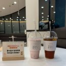 퍼피파라다이스 네이버블로그