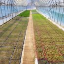 다덕파크 이미지