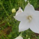 합천군농업기술센터(농정과) 이미지