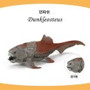 바쿨