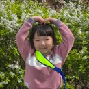 해뜨는어린이집 | [인천 해뜨는어린이집] 6,7살(만4,5세) 수봉공원 견학