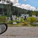 시즌아이PC방 동탄2신도시점 | 무봉산 자연휴양림 오두막 당일치기 : 분수광장 물놀이 아이랑 화성 동탄 나들이 후기