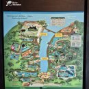 원더스 | 싱가포르 리버 원더스 관람코스 후기 총정리