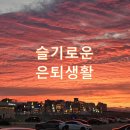 실버유통사업단 | 은퇴 후 월 300만원 만드는 현실적인 방법 7가지 (2026년 기준)