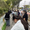 선일초교 이미지