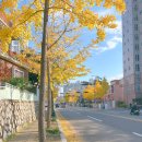 빛담다헤어 | 울산 미용실 [ 빛담다 헤어 ]후기, 추천 디자이너!!