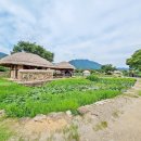 연못민박 이미지