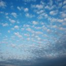 풍경(오월의 이야기 이미지