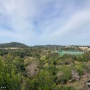 서귀포시청 제1청사 별관 이미지