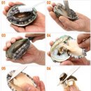 전복미가 이미지