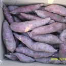 고은농장 이미지