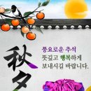 YMCA 어린이집 이미지