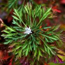 송정동-16 이미지