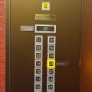 라온캣호텔 잠실점 | 롯데호텔월드 잠실 클럽라운지 애프터눈티 해피아워 조식 디럭스스위트더블룸 주말 후기