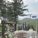 강원도홍천캠핑장에서 전세캠, 여름캠 즐겼습니다 홍천태극캠핑장 솔직 후기