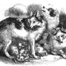 인디언짐 이미지