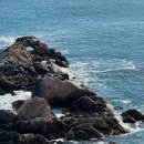 경주엘마르펜션 이미지