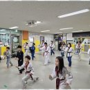 멘토태권도교육관 이미지
