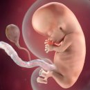 드림산부인과의원 이미지