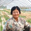 박춘녀 국민일보
