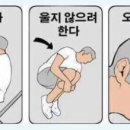 팔구포차