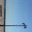 명성건강원 이미지