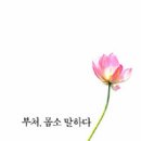 이상규 편저, 부처, 몸소 말하다 - 아함경 새겨 보기 이미지