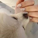 도도네일(DoDoNail) | [웨딩네일] 일산 네일 전문샵 '도도네일' 일산점에서 본식네일 받기