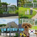 앤드아시아 | 강릉 애견동반 카페 엔드투앤드 강문해변 대형카페