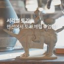서라벌토기관광펜션 | 펜션에서 토기 체험수업을? 경주 서라벌토기, 서라벌토기관광펜션