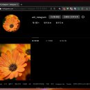 인스타PC 이미지