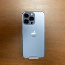 블루테라 이미지