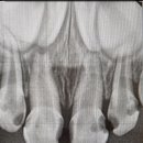 아이숲치과의원 이미지