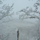 해미 오름산악회 2011년 1월정기 산행 한라산 1박2일 이미지