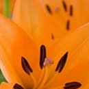 마음의 문 이미지