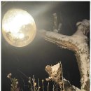 별빛계곡펜션 이미지