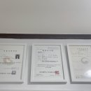 제이드래쉬