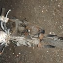 스쿠피50 부품 통10만원. 이미지