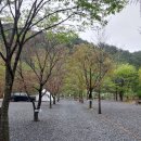 두산 캠핑장 | [영월 캠핑장 추천] 두산분교캠핑장 방문 후기