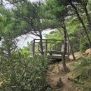 인천 무의도 해상관광탐방로 및 숲길 트레킹 #5 이미지