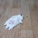 문화로 1L 이미지