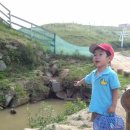 현진목장 이미지