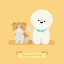 24시 더케어 동물의료센터 이미지