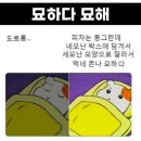 아 눈오는 거 에바잖아