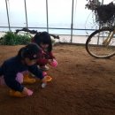 운가펜션 이미지