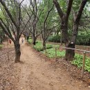 전재울근린공원 이미지