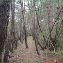 대율경로당 이미지