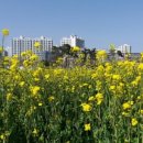 황룡친수공원 이미지