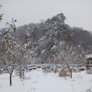 도로시하우스 이미지