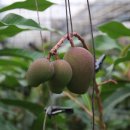 윤미농장 이미지